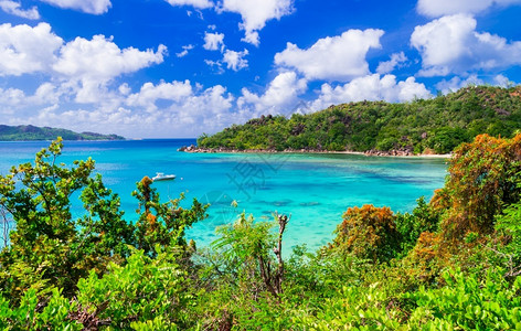 马埃岛热带自然景观马赫岛娱乐海岸线滩背景图片