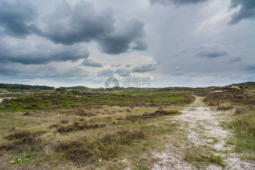 丰富多彩的自然在有风暴雨天期间荒地景观绿色图片