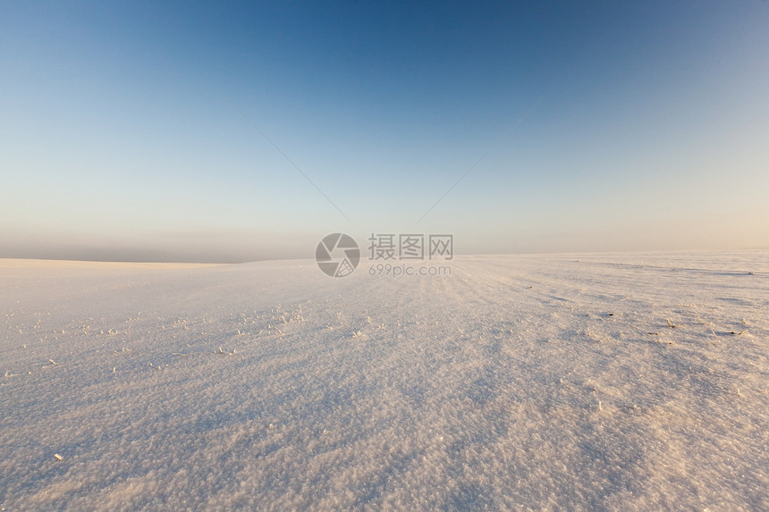 雾凇覆盖阳光明媚的冬季风景与蓝色的天空和田野冬风景的雪地一月图片