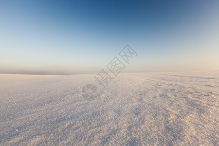雾凇覆盖阳光明媚的冬季风景与蓝色的天空和田野冬风景的雪地一月图片