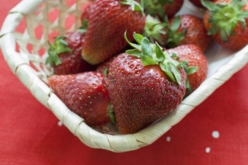 甜的新鲜健康草莓水果躺在篮子中从顶端的闭合篮子上方景象熟草莓篮子站在红纸巾上图片