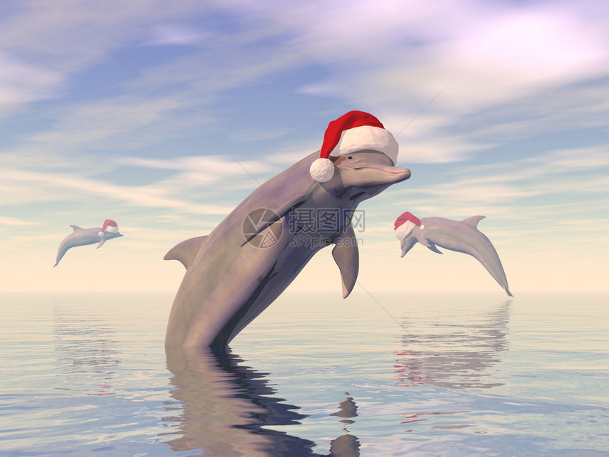 形象的三只海豚白天在洋中庆祝圣诞节3D渲染海豚在洋中庆祝圣诞节渲染礼物幸福图片