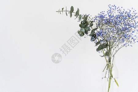 高的分辨率照片组新鲜的树枝植物花瓶优质照片组高品墙自然图片