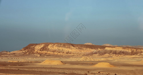 蓝色的植物爬坡道埃及沙漠白天和清蓝空北非的日间埃及沙漠图片