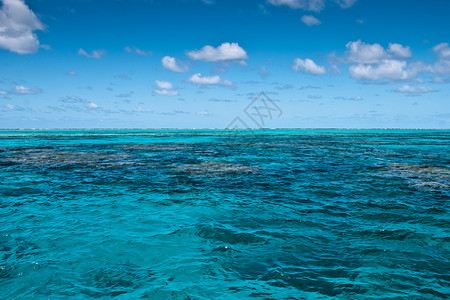凯恩斯珊瑚澳大利亚人道格拉斯港附近大堡礁地表面的积图片