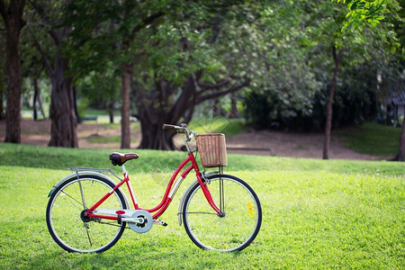 孤公园里的红色自行车优质的骑术图片