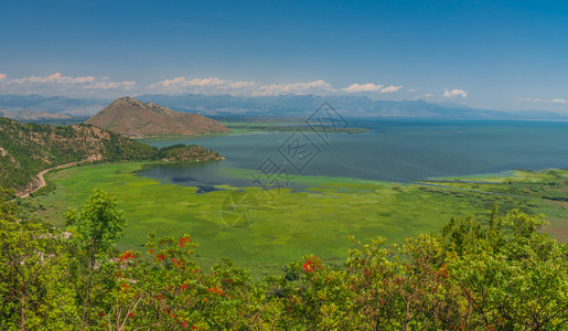 克诺耶维察树叶自然黑山公园Skadar湖和Crnojevica河的上空全景在阳光明媚的夏季日子里Skadar湖和黑山的Crnojevica背景