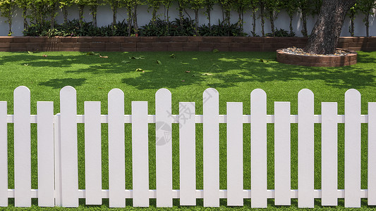 草生长树在人造地盘前面看到白色木栅栏前方的白在家庭院子前相互交结的砖块上种植绿色物图片