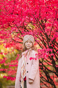红色枫树下的小女孩图片