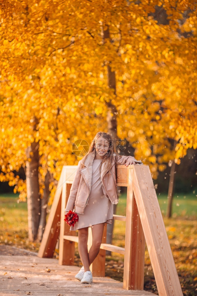树季节美丽的秋日户外可爱小女孩的肖像美丽秋日户外可爱小女孩愉快图片