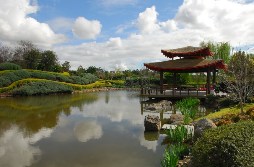 澳洲新南威尔士的日本花园一景场绿色东方池塘图片