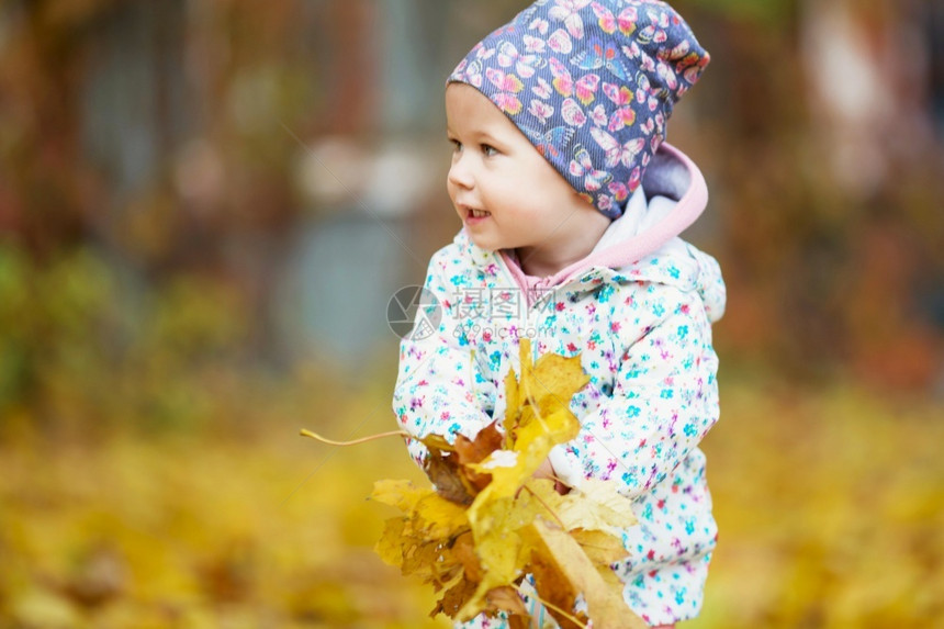 森林里拿着落叶的小女孩图片