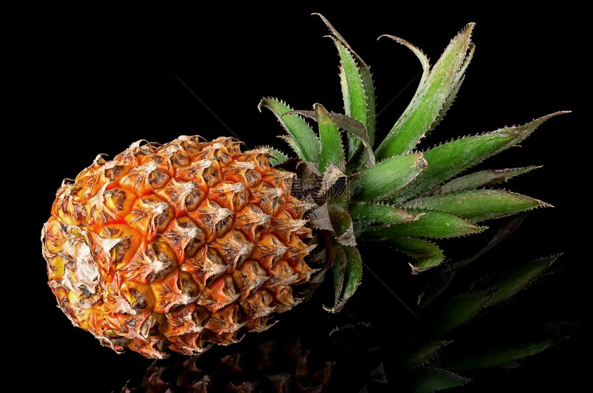 新鲜的带反射单整菠萝在黑色背景上旋转隔离带反射的单整菠萝旋转热带黄色的图片