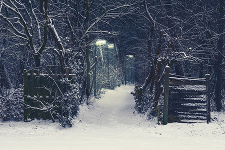 深雪寒冬夜带灯柱的令人毛骨悚然森林道路点亮黑暗的白色图片