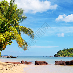 热带沙滩海洋景观图片