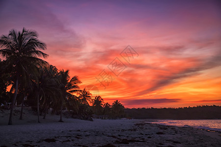 丰富多彩的棕榈古巴Guardalavaca海滩热带日落景观图片