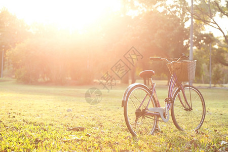旧自行车在公园里日出后骑术常设座位图片