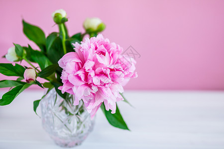 盛开粉彩质地花瓶中的粉红木质背景的花瓶高清图片