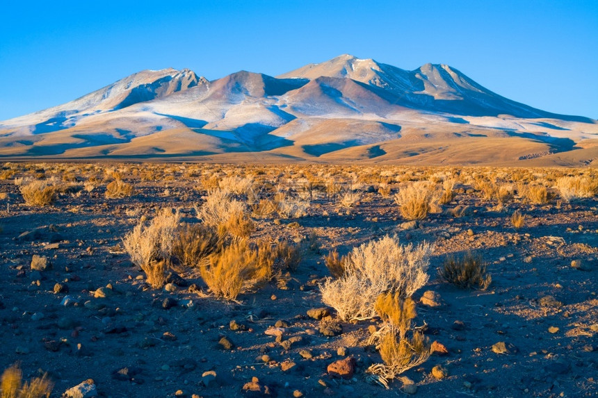 气候游客爬坡道安第斯高原智利阿塔卡马沙漠南美和智利阿尔提普拉诺高安第斯原的山丘图片