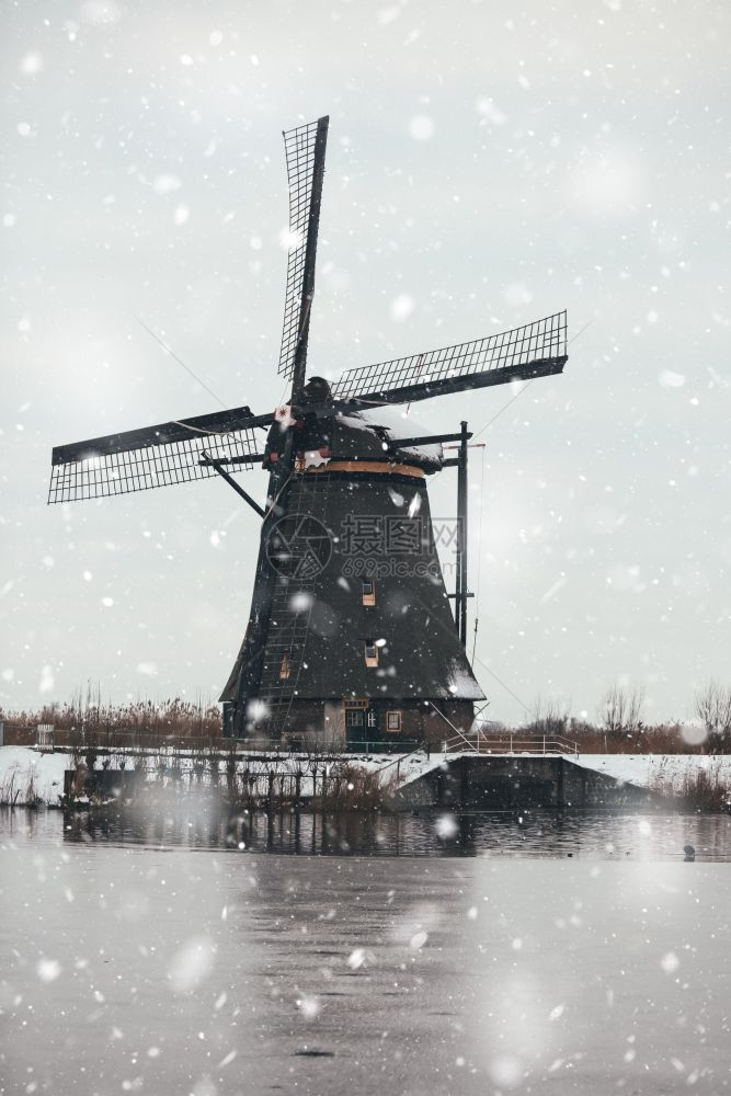 冷静的天气水荷兰Kinderdijk的雪寒冬季风景观农村老风车停在荷兰奇幻背景中以自然光亮显示的单色中调图片