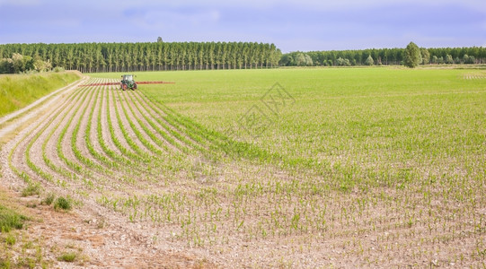 收成场地拖拉机是一种对玉米的杀虫剂处理方法农药图片