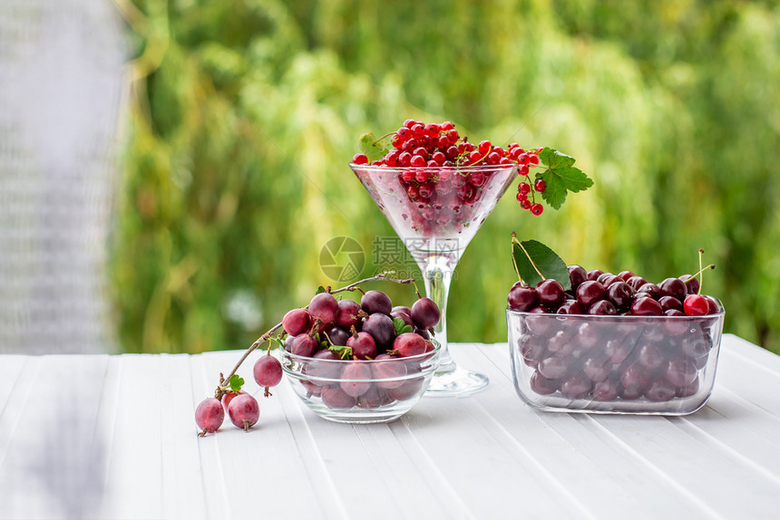 红花和浆果在白桌上有机水果红花和浆在白桌上液体甜的饮食图片