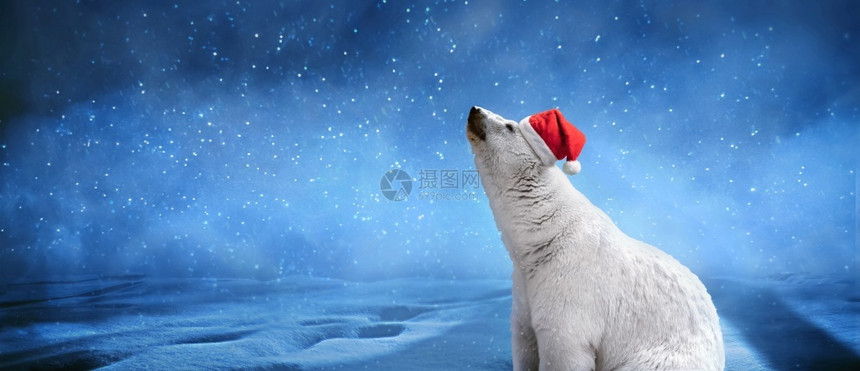 霜塑像嘲笑戴着圣诞帽子雪花和天空的北极熊圣诞快乐与新年概念全景模拟图像图片