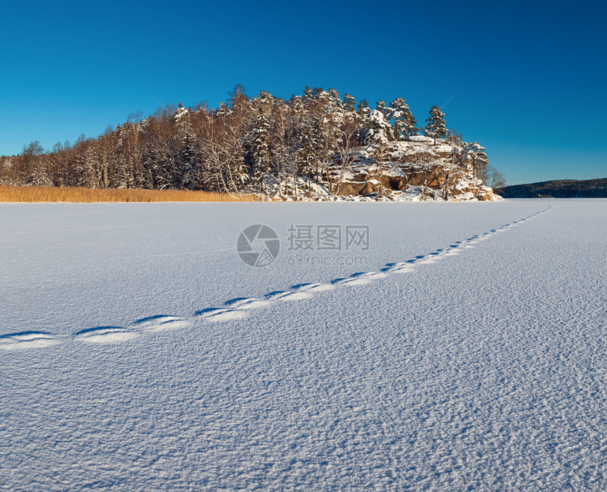 挪威风景白色纹理的雪表面上有痕迹直到远处的岩石和树林平坦的有质感静图片