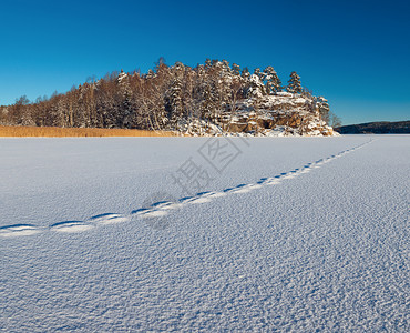 挪威风景白色纹理的雪表面上有痕迹直到远处的岩石和树林平坦的有质感静图片