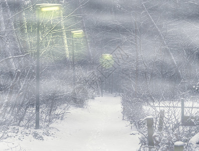 灯笼深雾夜带光柱的可怕森林道路季节自然图片