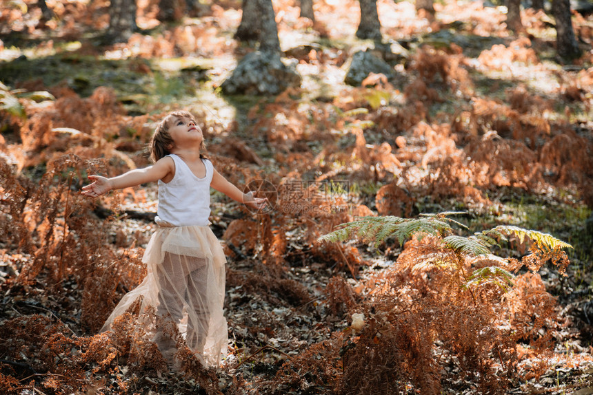 闲暇森林里的肖像小caucasians女婴在林中看远的野兽中外部乐趣图片
