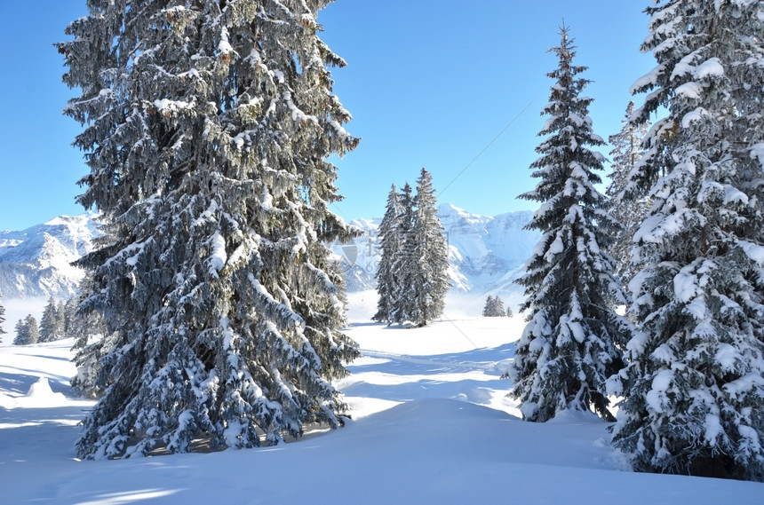 冬季雪景风光图片