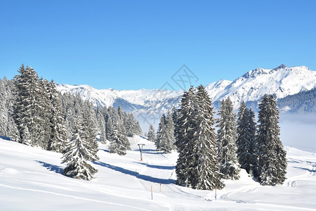 冬季雪景风光图片