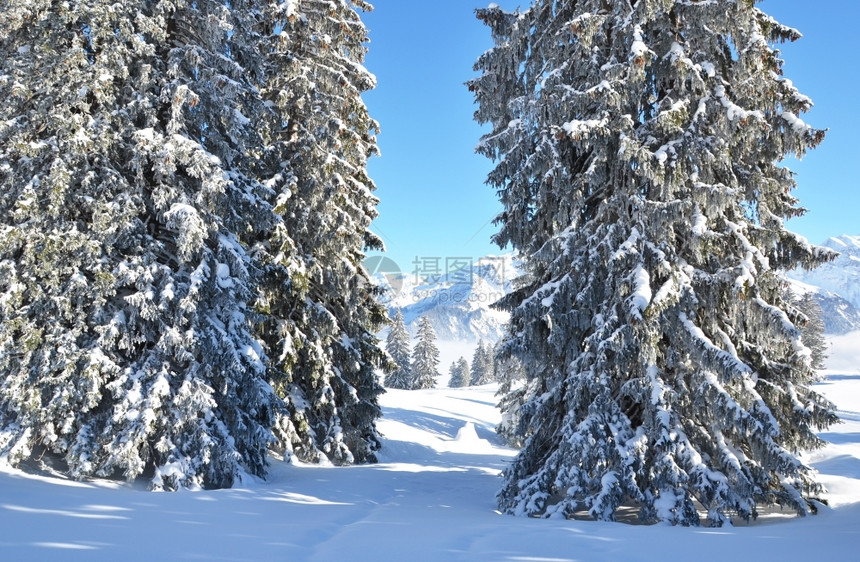 冬季雪景风光图片