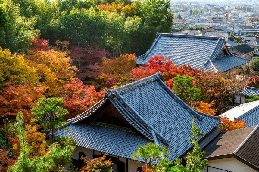 日本京都寺庙和秋叶图片