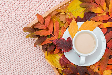 托盘上的奶茶和多色秋叶图片