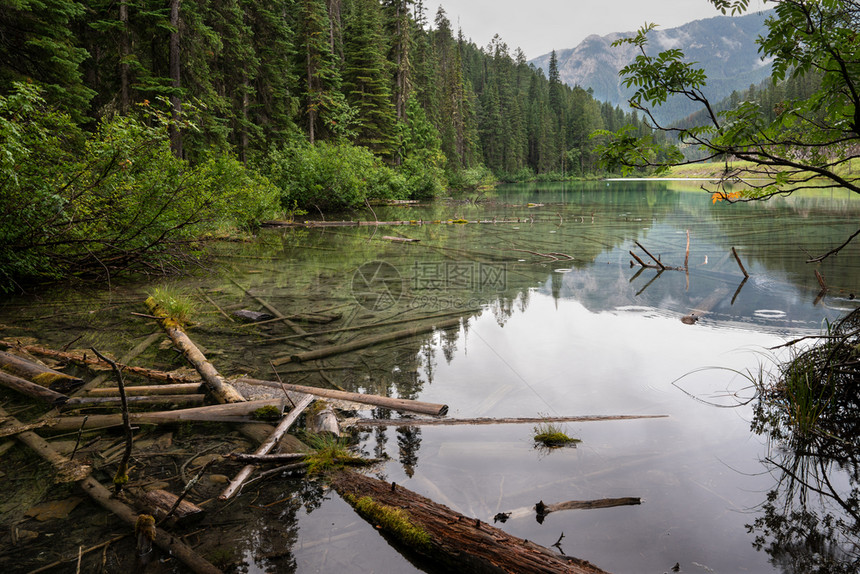 在加拿大不列颠哥伦比亚省Kootenay公园内一个平静湖景象的全图像国民环境农村图片