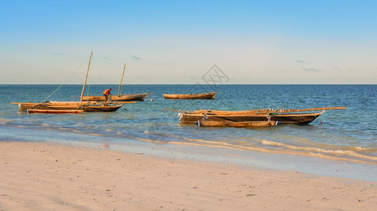 水停泊旅游典型的木船停靠在坦桑尼亚给巴尔海滩上图片