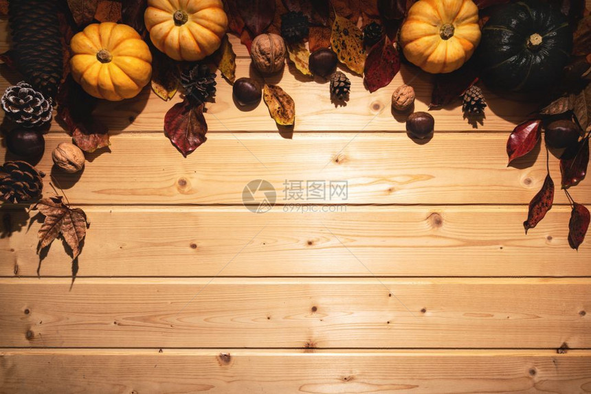 感恩节南瓜和坚果秋叶木背景图片