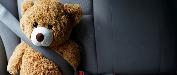 棕色泰迪熊戴汽车安全带乐趣童年图片