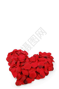 丘比特假期爱白种背景的玫瑰花瓣所形成的美丽红心图片