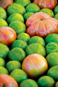 明亮的秋天桌子新鲜传家宝番茄品种背景纹理图片