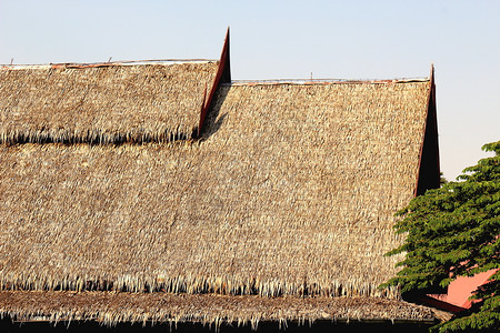茅草根优质的自然高尖屋顶泰文风格的树叶草分支机构背景