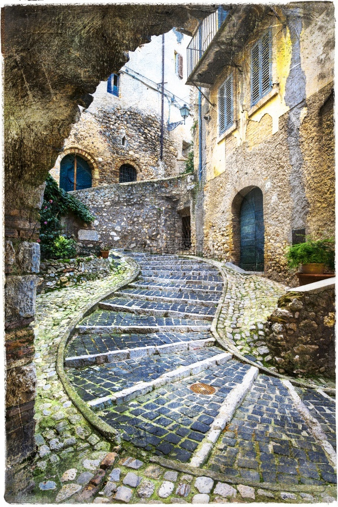花的园意大利中世纪古老迷人的村庄有典型花草狭小街道Casperia门图片