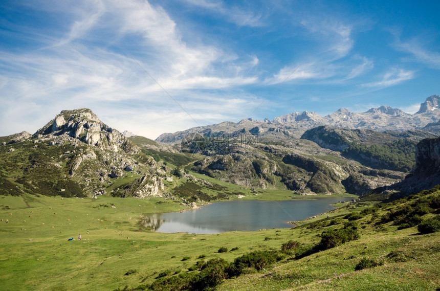 欧洲公园如画西班牙阿斯图里亚Covadonga湖Ercina夏季山地景观图片