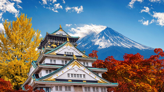 日本藤山和城堡的秋天季节日本东方的橙枫图片