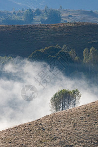 多雾路段季节美丽的初秋自然的山上本底雾林旅行图片