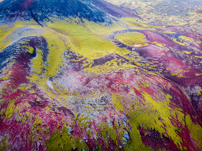 覆盖苔的火山景观藓谷维克图片