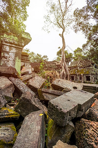 旅行建造文化柬埔寨西姆庄园的PrasatTaprohm古老寺庙图片