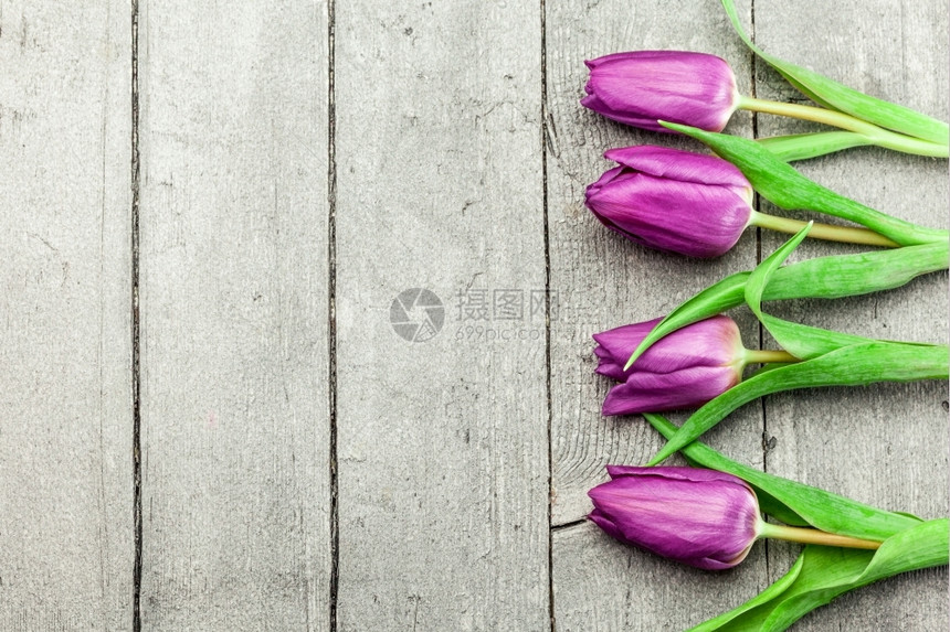 木制桌子上紫色郁金花的顶端视图展示季节绿色图片